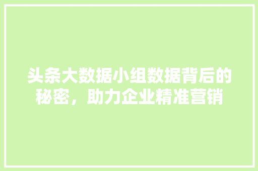 头条大数据小组数据背后的秘密，助力企业精准营销  第1张