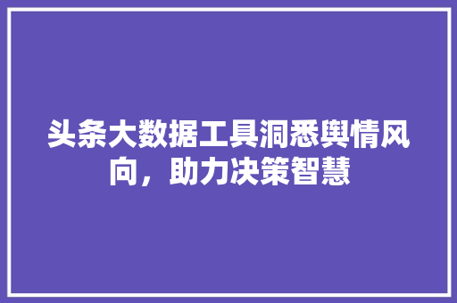 头条大数据工具洞悉舆情风向，助力决策智慧  第1张