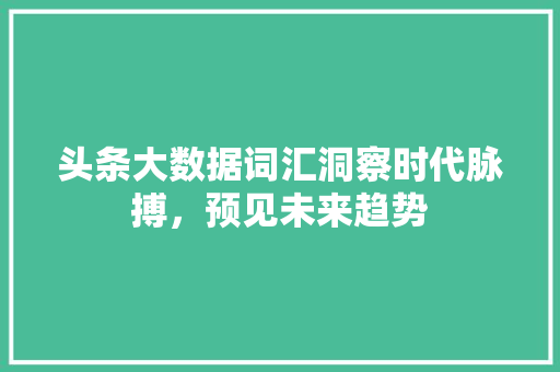 头条大数据词汇洞察时代脉搏，预见未来趋势