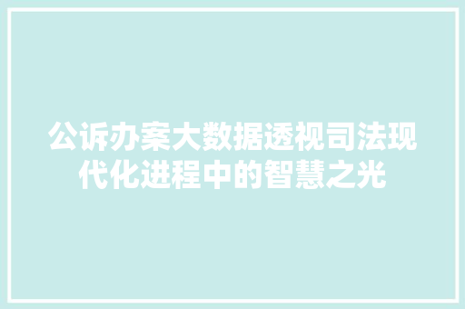 公诉办案大数据透视司法现代化进程中的智慧之光