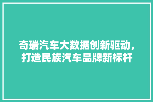 奇瑞汽车大数据创新驱动，打造民族汽车品牌新标杆