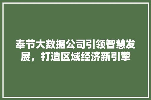 奉节大数据公司引领智慧发展，打造区域经济新引擎