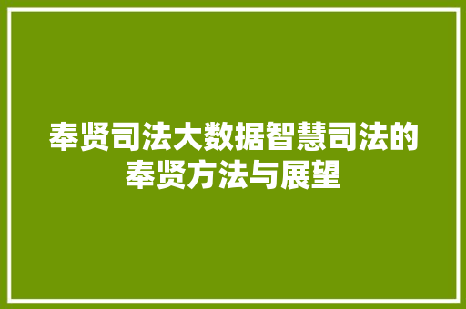 奉贤司法大数据智慧司法的奉贤方法与展望