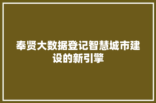 奉贤大数据登记智慧城市建设的新引擎