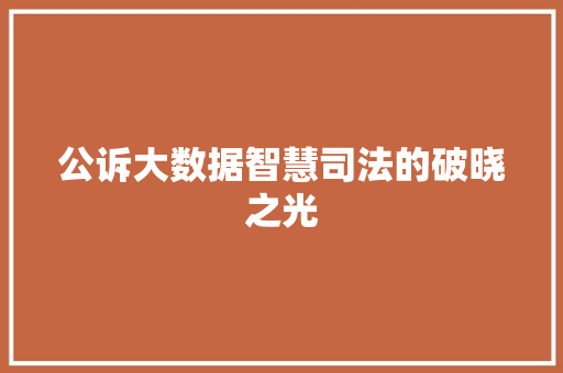 公诉大数据智慧司法的破晓之光