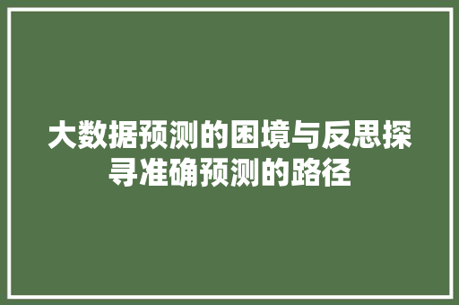 大数据预测的困境与反思探寻准确预测的路径