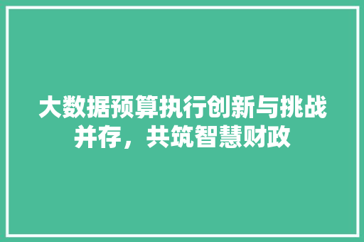 大数据预算执行创新与挑战并存，共筑智慧财政