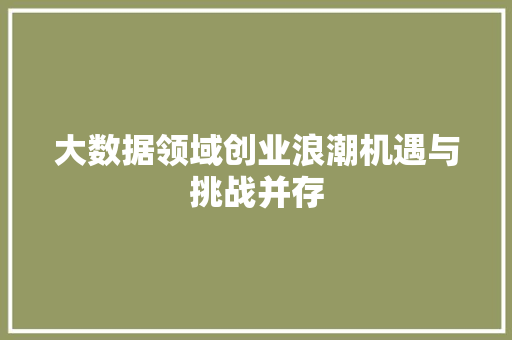 大数据领域创业浪潮机遇与挑战并存