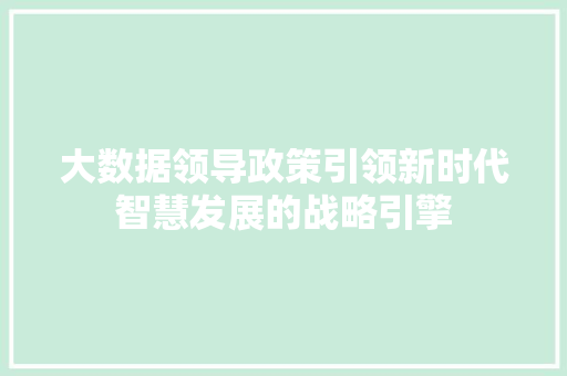 大数据领导政策引领新时代智慧发展的战略引擎