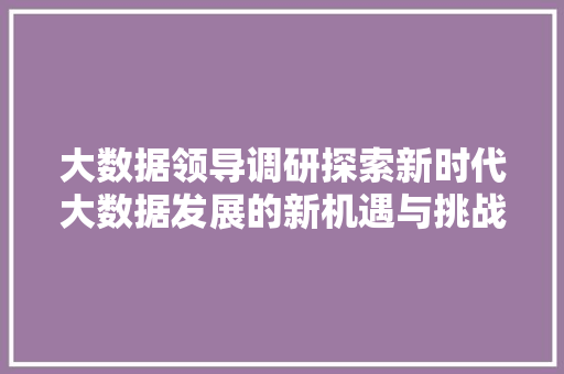 大数据领导调研探索新时代大数据发展的新机遇与挑战