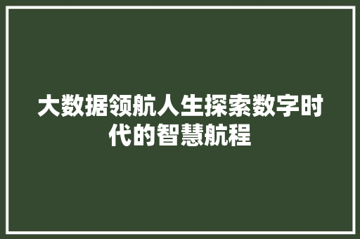 大数据领航人生探索数字时代的智慧航程