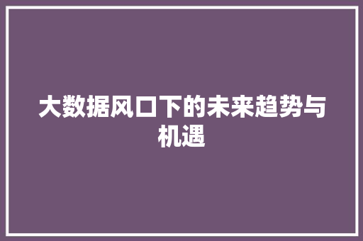 大数据风口下的未来趋势与机遇  第1张