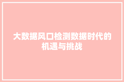 大数据风口检测数据时代的机遇与挑战