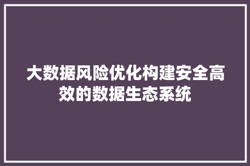 大数据风险优化构建安全高效的数据生态系统  第1张