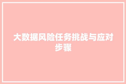 大数据风险任务挑战与应对步骤  第1张