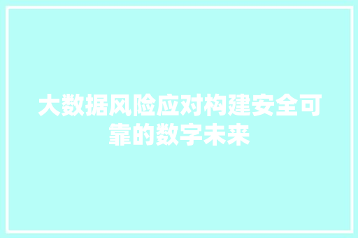 大数据风险应对构建安全可靠的数字未来  第1张