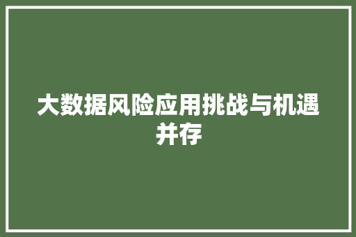 大数据风险应用挑战与机遇并存  第1张