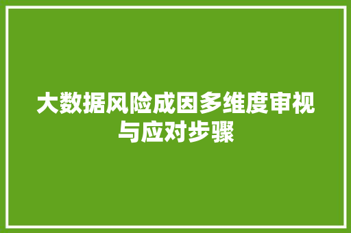 大数据风险成因多维度审视与应对步骤  第1张