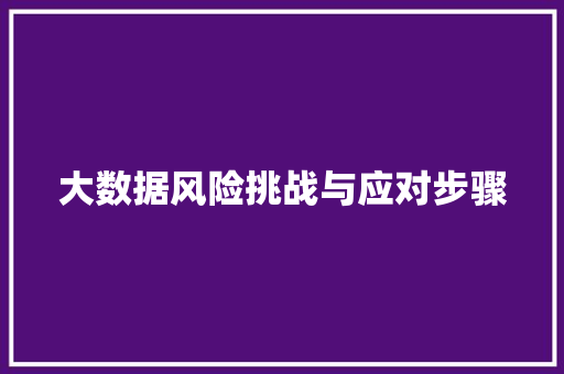 大数据风险挑战与应对步骤  第1张