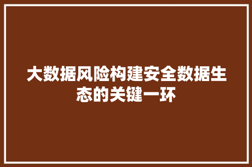 大数据风险构建安全数据生态的关键一环  第1张