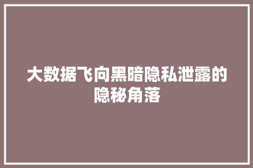 大数据飞向黑暗隐私泄露的隐秘角落  第1张