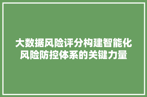 大数据风险评分构建智能化风险防控体系的关键力量  第1张