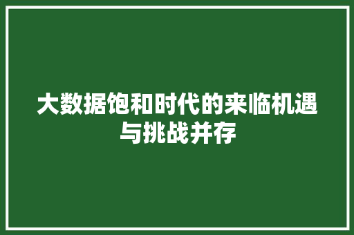 大数据饱和时代的来临机遇与挑战并存