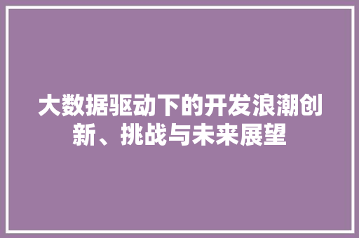 大数据驱动下的开发浪潮创新、挑战与未来展望  第1张