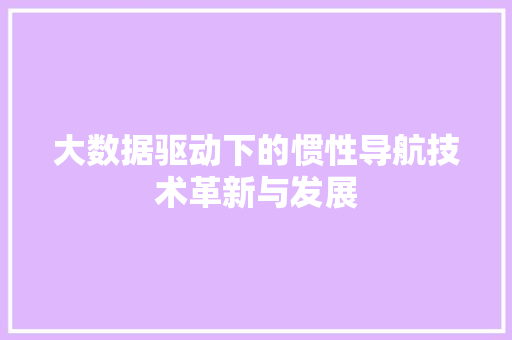 大数据驱动下的惯性导航技术革新与发展