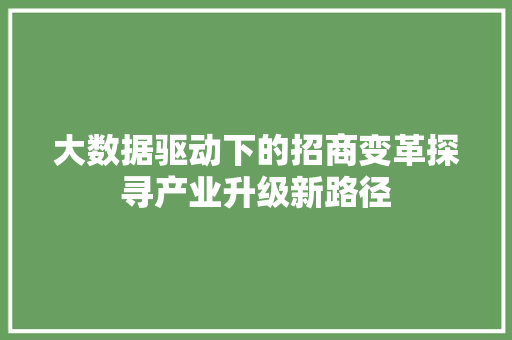 大数据驱动下的招商变革探寻产业升级新路径  第1张