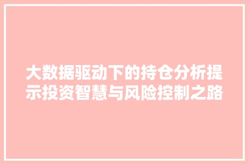 大数据驱动下的持仓分析提示投资智慧与风险控制之路