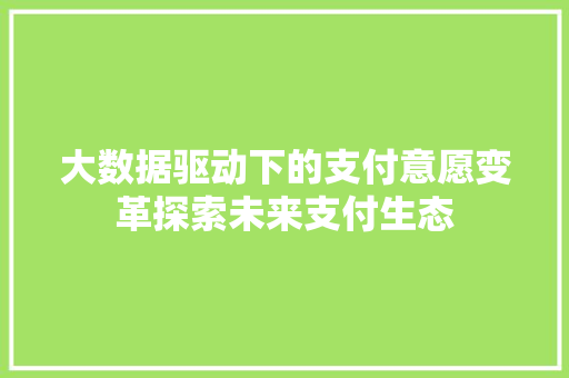 大数据驱动下的支付意愿变革探索未来支付生态  第1张