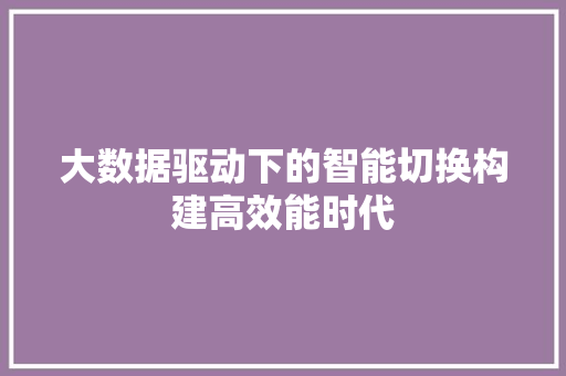 大数据驱动下的智能切换构建高效能时代