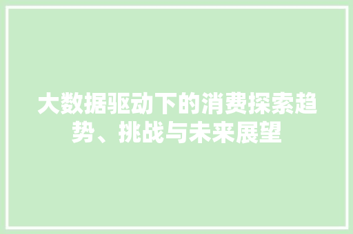 大数据驱动下的消费探索趋势、挑战与未来展望  第1张