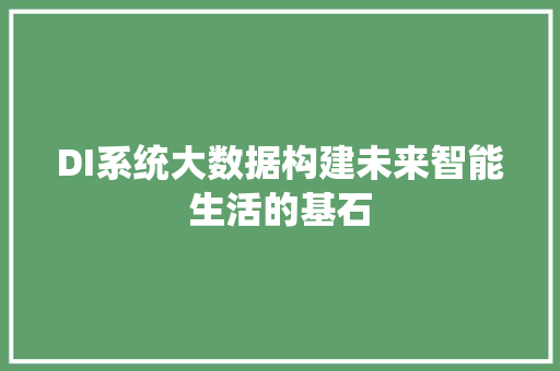 DI系统大数据构建未来智能生活的基石