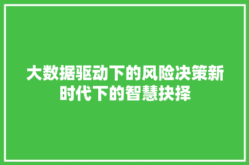 大数据驱动下的风险决策新时代下的智慧抉择  第1张