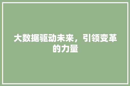 大数据驱动未来，引领变革的力量  第1张
