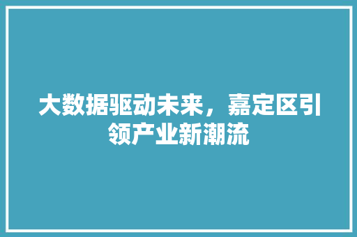 大数据驱动未来，嘉定区引领产业新潮流  第1张
