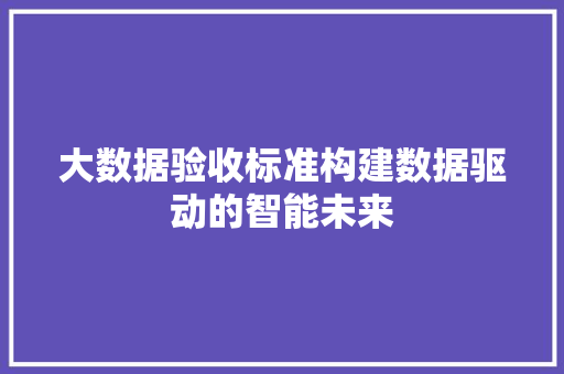 大数据验收标准构建数据驱动的智能未来
