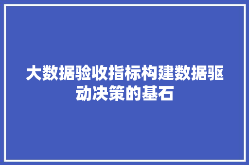 大数据验收指标构建数据驱动决策的基石  第1张