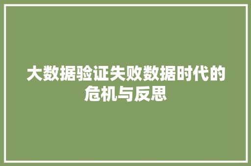 大数据验证失败数据时代的危机与反思