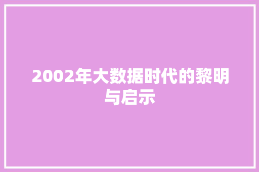 2002年大数据时代的黎明与启示