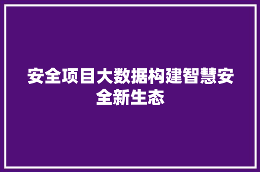 安全项目大数据构建智慧安全新生态  第1张