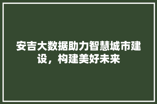 安吉大数据助力智慧城市建设，构建美好未来