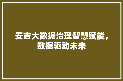 安吉大数据治理智慧赋能，数据驱动未来