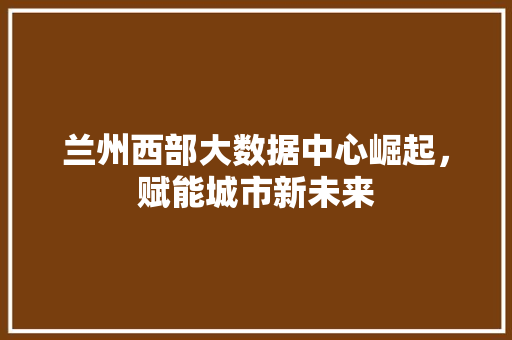 兰州西部大数据中心崛起，赋能城市新未来  第1张