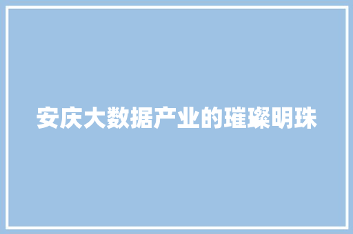 安庆大数据产业的璀璨明珠