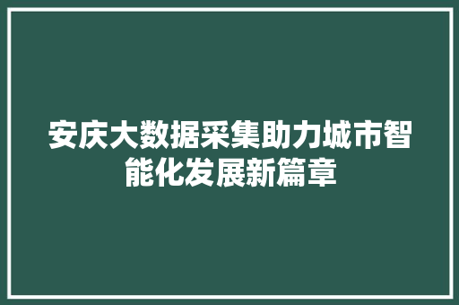 安庆大数据采集助力城市智能化发展新篇章