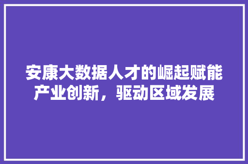 安康大数据人才的崛起赋能产业创新，驱动区域发展