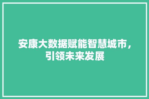 安康大数据赋能智慧城市，引领未来发展